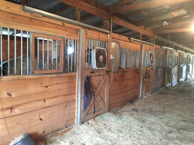 HORSE BOARDING IN FERNANDINA BEACH FLORIDA